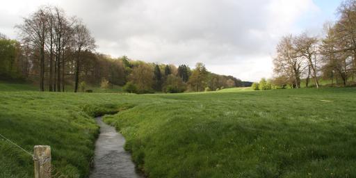 The stream Hoyoux